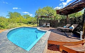 Wild Dog Guest Lodge
